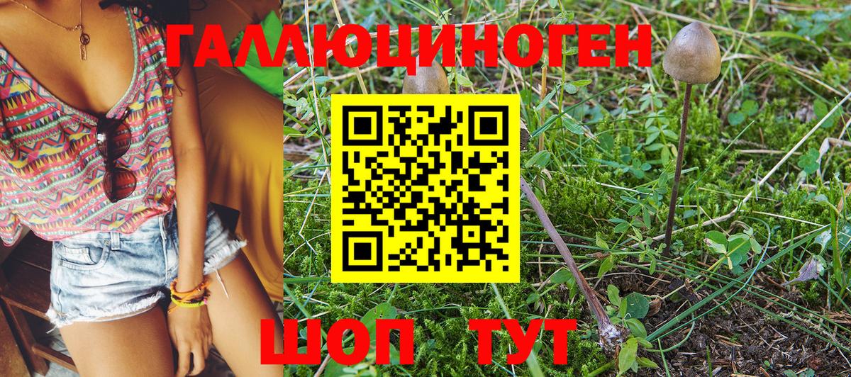 Москва  Галлюциногенные грибы MAGIC MUSHROOMS  Вход с VPN 